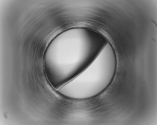 X0000102010850200807180909