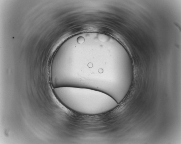 X0000102010851200807180909