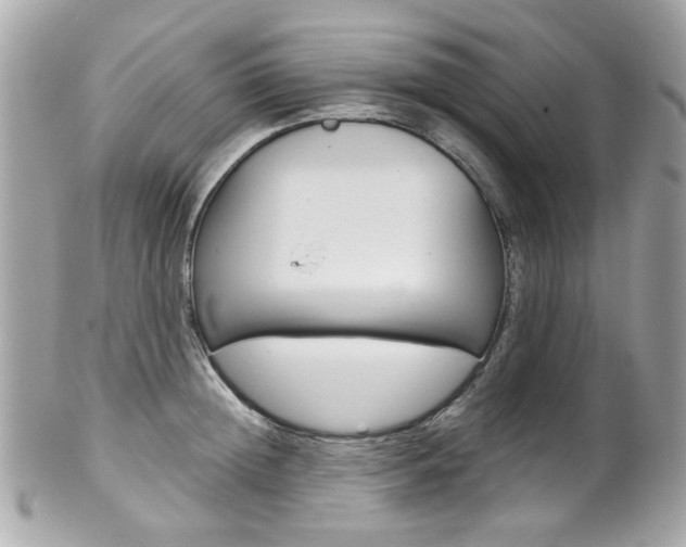 X0000102010852200807180909