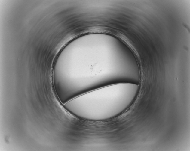 X0000102010853200807180909
