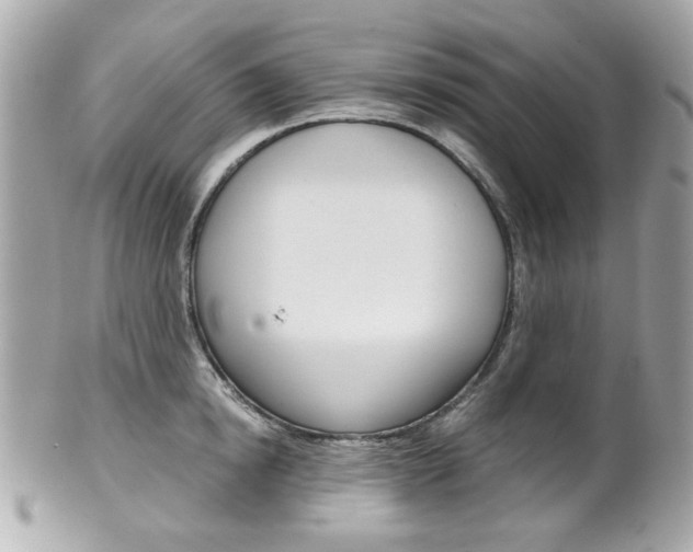 X0000102010854200807180909