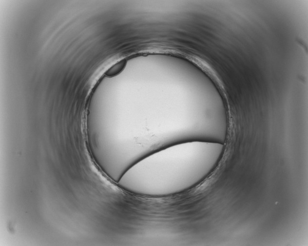 X0000102010855200807180909