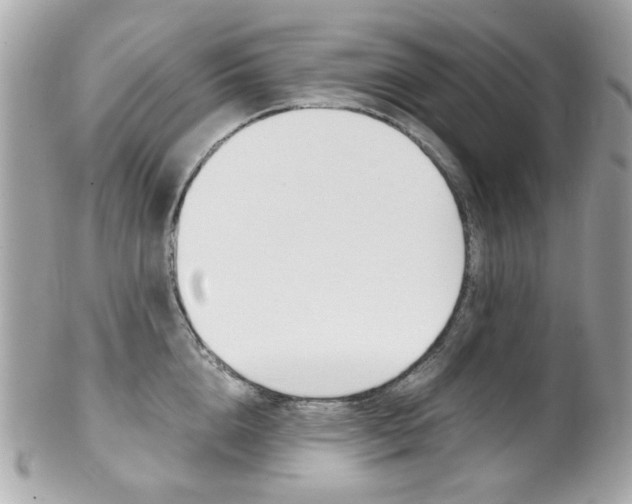 X0000102010856200807180909