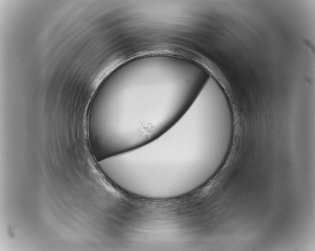 X0000102010858200807180909