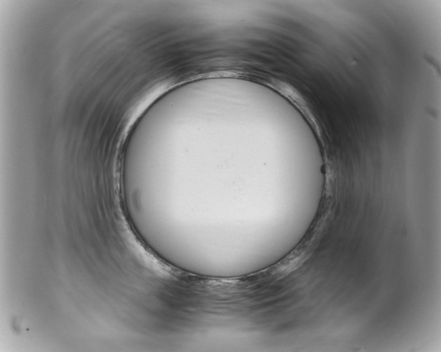 X0000102010859200807180909