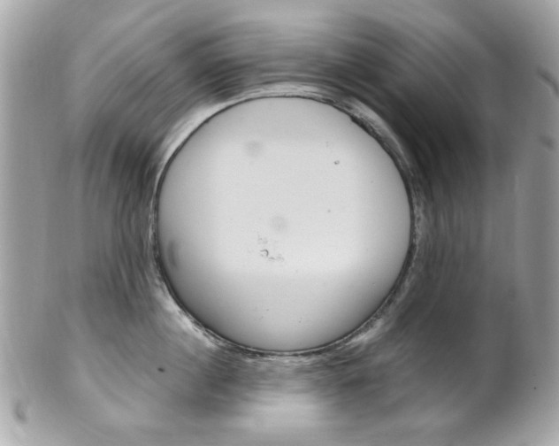 X0000102010860200807180909