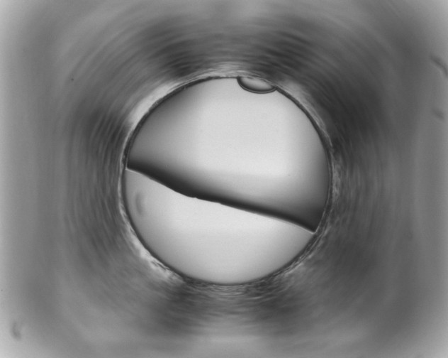 X0000102010861200807180909