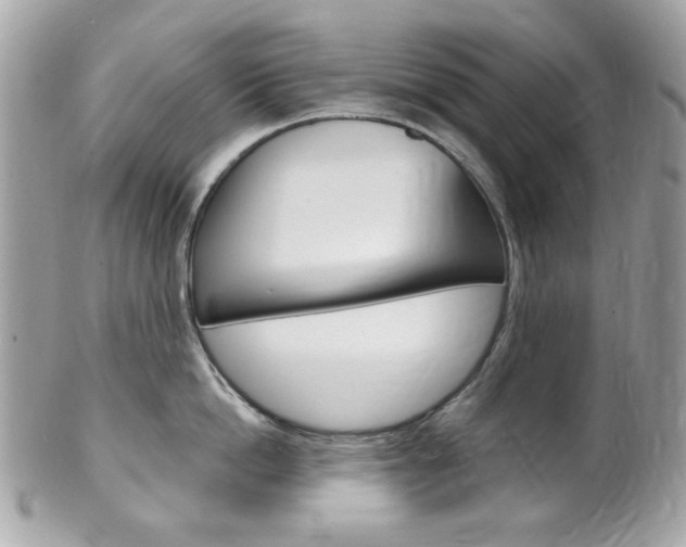 X0000102010862200807180909