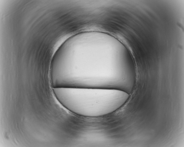 X0000102010863200807180909