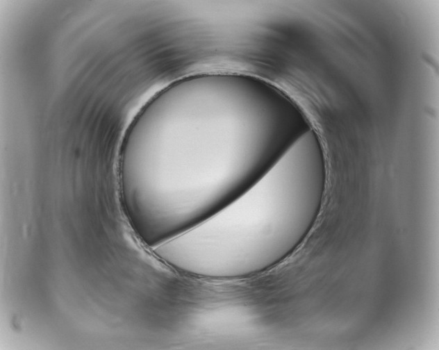 X0000102010864200807180909