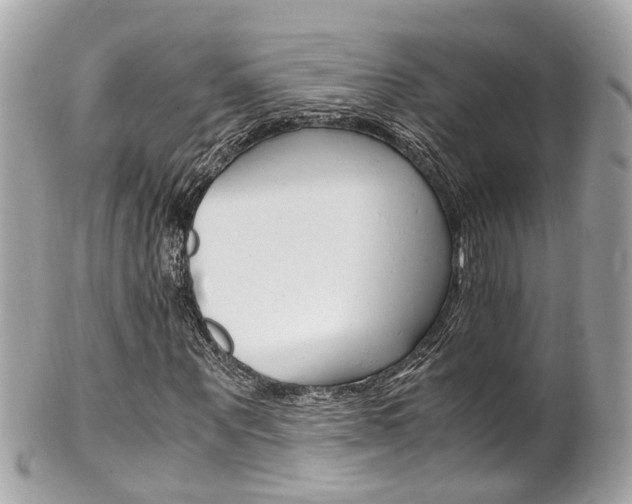 X0000102010867200807180909