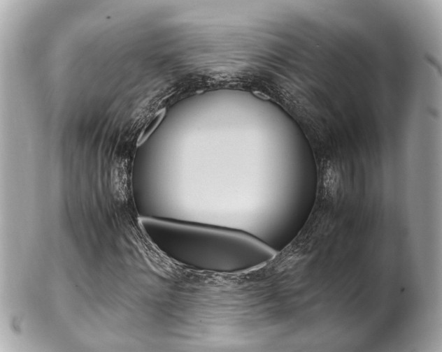 X0000102010868200807180909