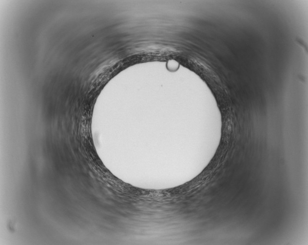 X0000102010869200807180909