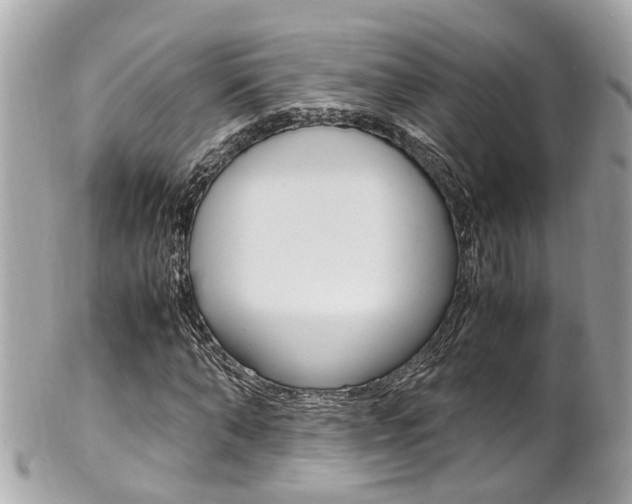 X0000102010870200807180909