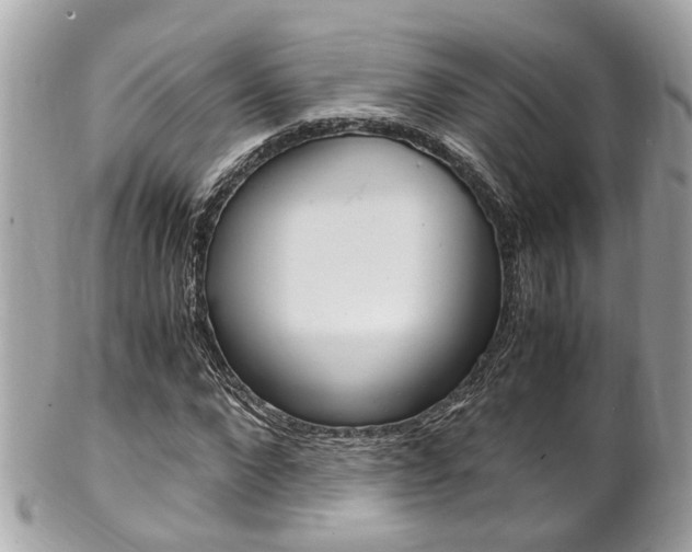 X0000102010872200807180909