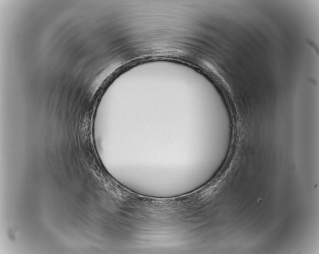 X0000102010875200807180908