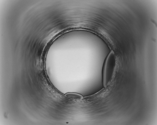 X0000102010876200807180908
