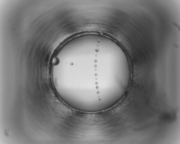 X0000102010880200807180908
