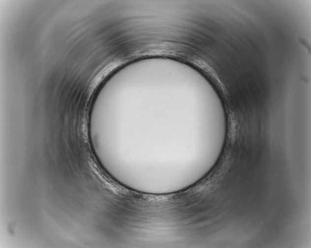 X0000102010882200807180908