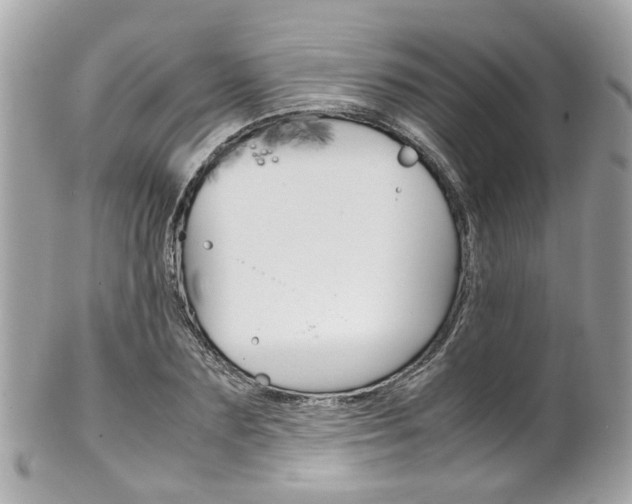 X0000102010883200807180908
