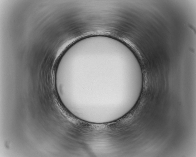X0000102010886200807180908