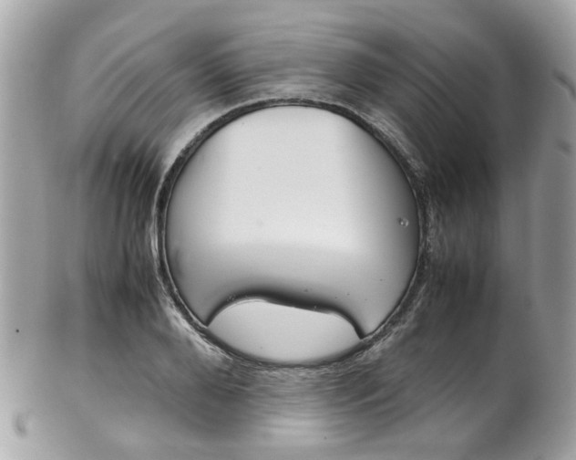 X0000102010888200807180908