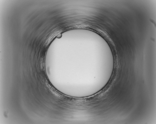 X0000102010889200807180908