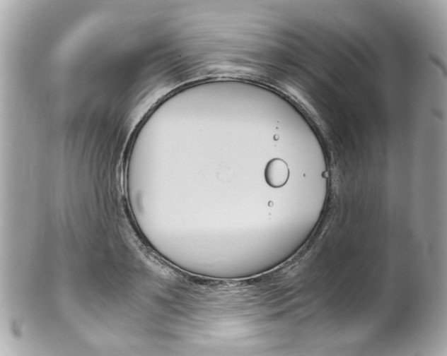 X0000102010891200807180908