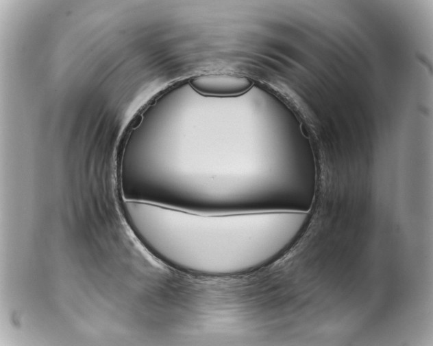 X0000102010894200807180908
