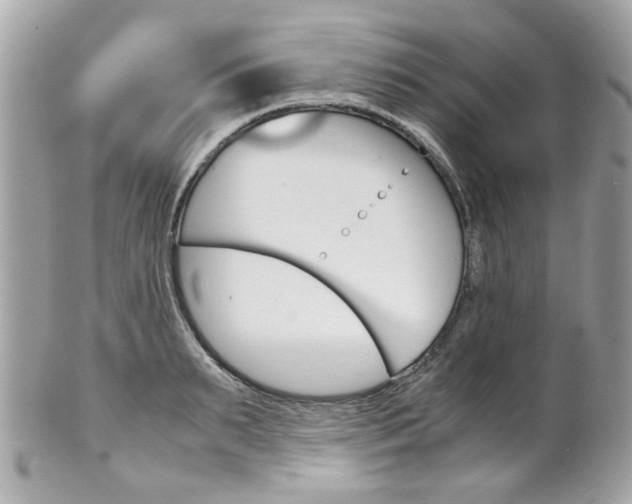 X0000102010895200807180908
