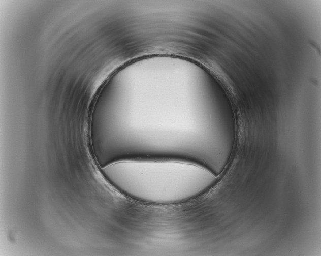 X0000102010896200807180908