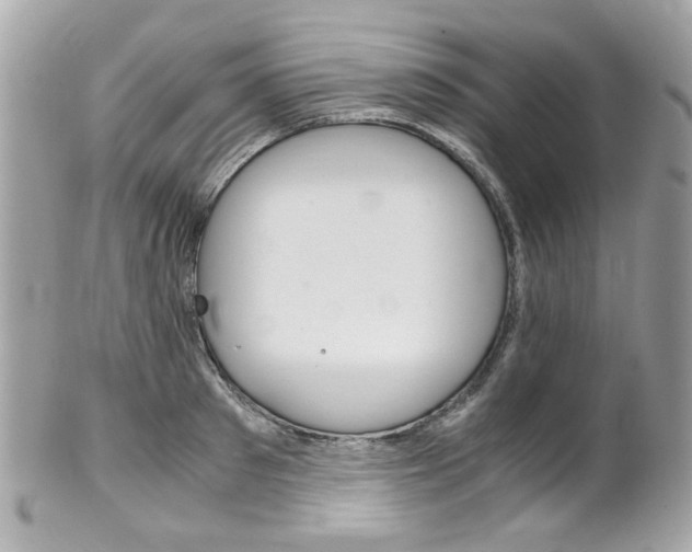 X0000102010897200807180908
