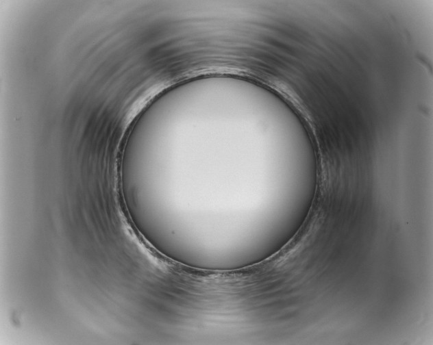 X0000102010898200807180908