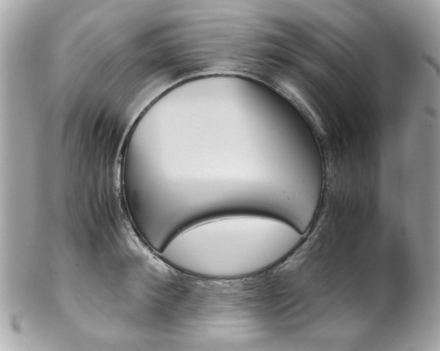 X0000102010900200807180908