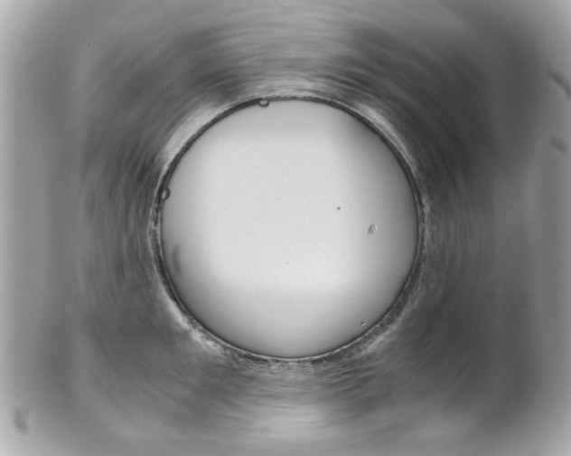 X0000102010901200807180908