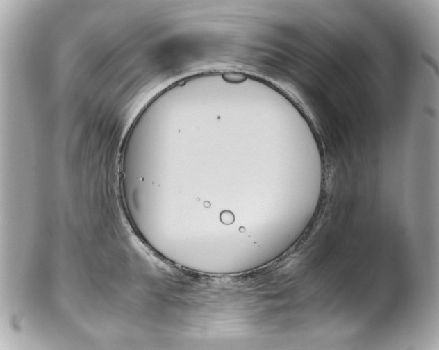 X0000102010903200807180908
