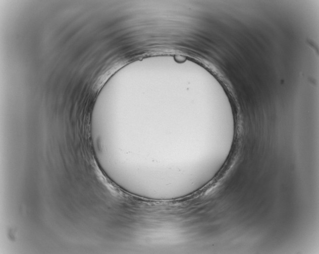X0000102010905200807180908