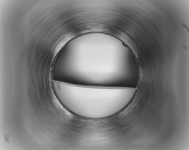 X0000102010906200807180908