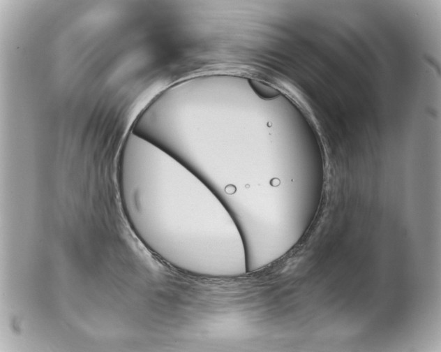 X0000102010907200807180908