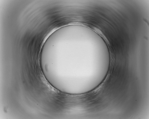 X0000102010908200807180908
