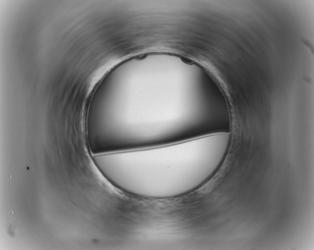 X0000102010910200807180908
