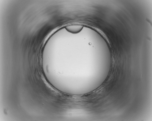 X0000102010911200807180908