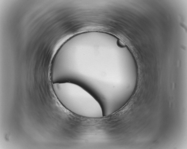 X0000102010912200807180908