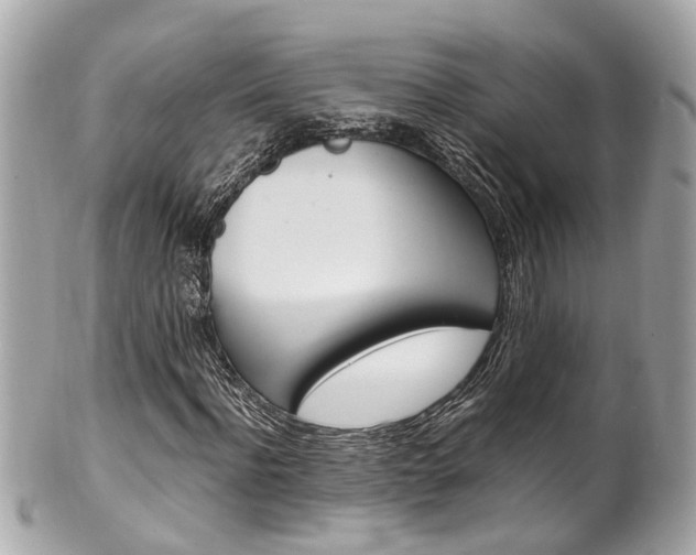 X0000102010916200807180907