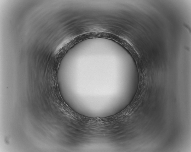 X0000102010919200807180907