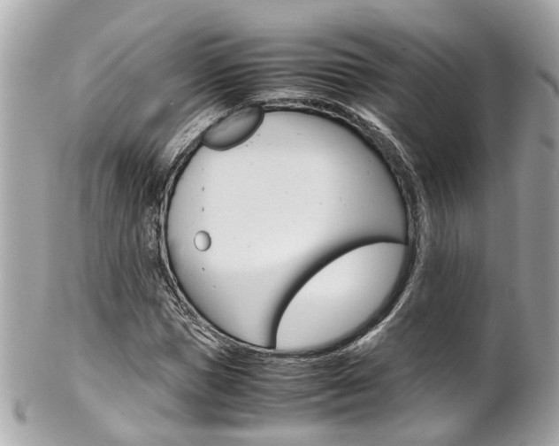 X0000102010921200807180907