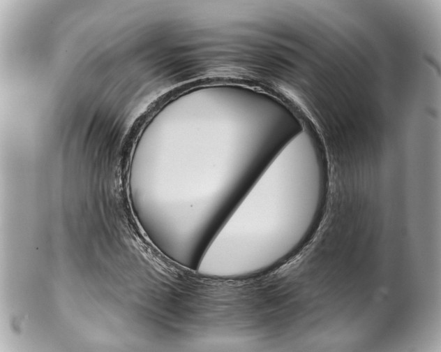 X0000102010923200807180907