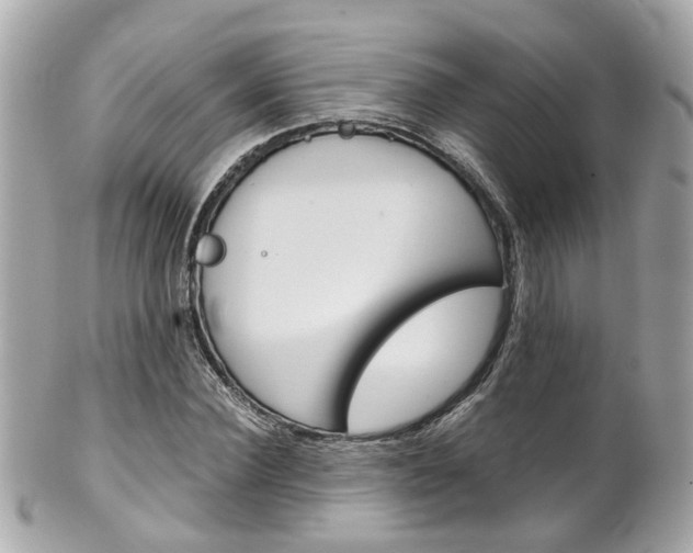 X0000102010924200807180907