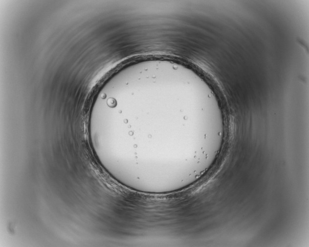 X0000102010925200807180907
