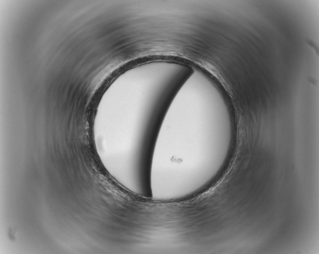 X0000102010926200807180907